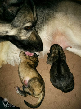 Hemi and her two boys after they've arrived