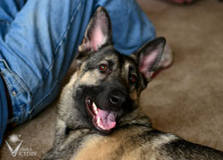 Hemi Laying Grin