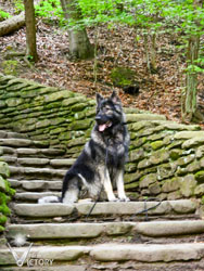 Piston on the stairs