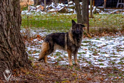 Hope peeking around the tree